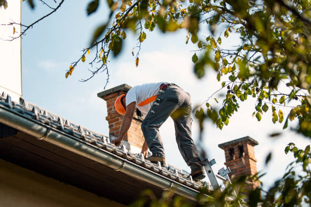 Best Chimney Flashing Repair  in Eastvale, CA