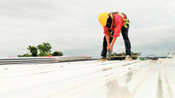 Best Roof Insulation Installation  in Eastvale, CA