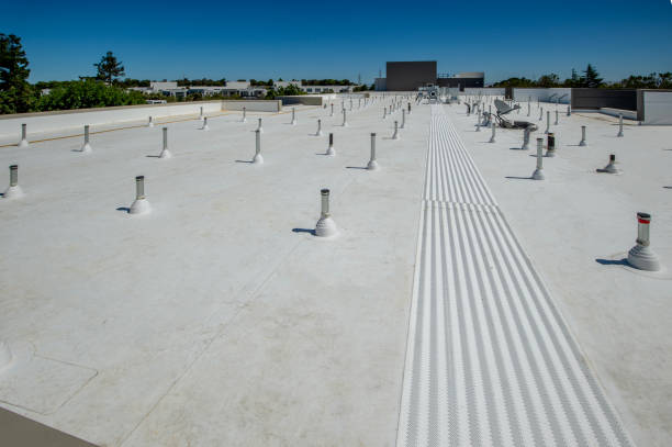 Best Roof Moss and Algae Removal  in Eastvale, CA